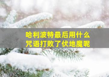 哈利波特最后用什么咒语打败了伏地魔呢