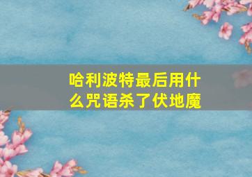 哈利波特最后用什么咒语杀了伏地魔