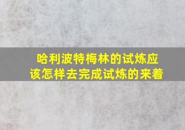 哈利波特梅林的试炼应该怎样去完成试炼的来着