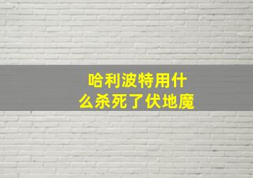 哈利波特用什么杀死了伏地魔