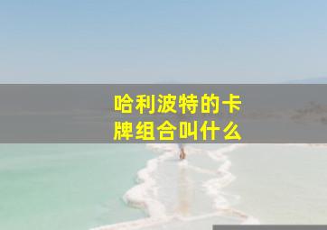 哈利波特的卡牌组合叫什么