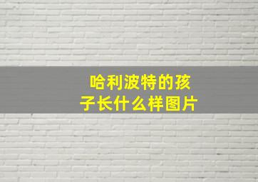 哈利波特的孩子长什么样图片