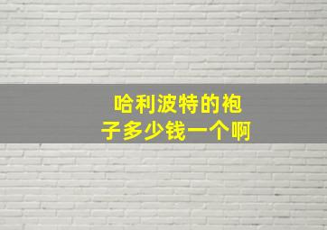 哈利波特的袍子多少钱一个啊