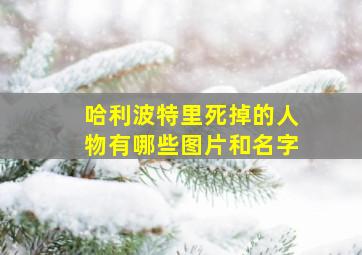 哈利波特里死掉的人物有哪些图片和名字