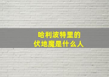 哈利波特里的伏地魔是什么人