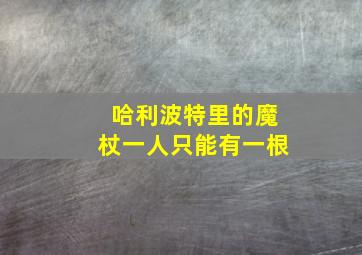 哈利波特里的魔杖一人只能有一根