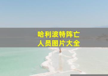 哈利波特阵亡人员图片大全