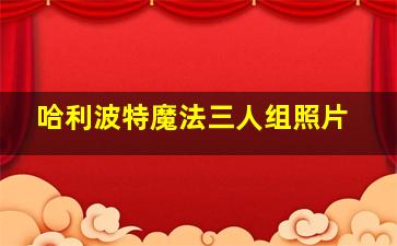 哈利波特魔法三人组照片