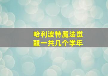 哈利波特魔法觉醒一共几个学年