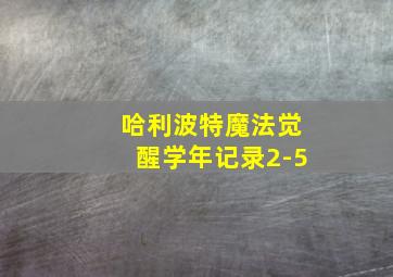 哈利波特魔法觉醒学年记录2-5