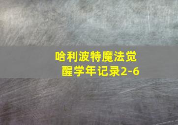 哈利波特魔法觉醒学年记录2-6