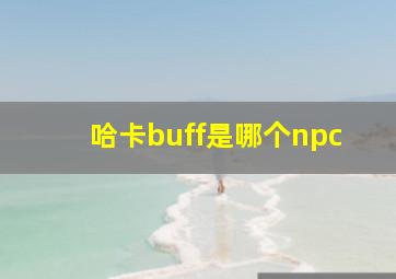 哈卡buff是哪个npc