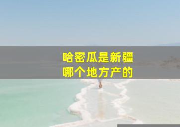 哈密瓜是新疆哪个地方产的