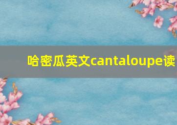 哈密瓜英文cantaloupe读