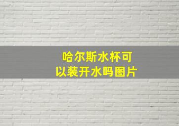 哈尔斯水杯可以装开水吗图片