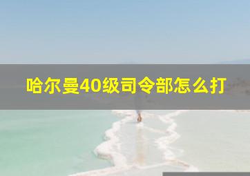 哈尔曼40级司令部怎么打