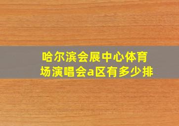 哈尔滨会展中心体育场演唱会a区有多少排