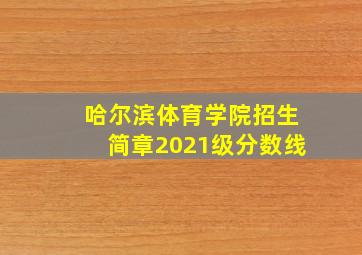 哈尔滨体育学院招生简章2021级分数线