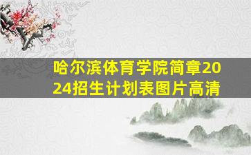 哈尔滨体育学院简章2024招生计划表图片高清