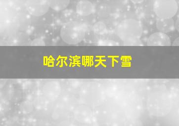 哈尔滨哪天下雪