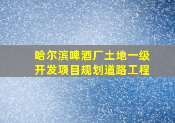 哈尔滨啤酒厂土地一级开发项目规划道路工程