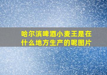 哈尔滨啤酒小麦王是在什么地方生产的呢图片