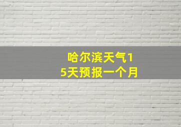 哈尔滨天气15天预报一个月