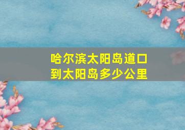 哈尔滨太阳岛道口到太阳岛多少公里