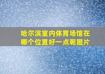 哈尔滨室内体育场馆在哪个位置好一点呢图片