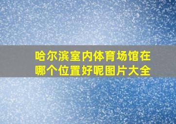 哈尔滨室内体育场馆在哪个位置好呢图片大全