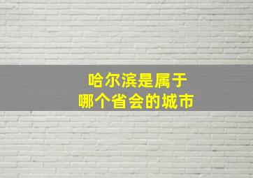 哈尔滨是属于哪个省会的城市