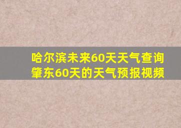 哈尔滨未来60天天气查询肇东60天的天气预报视频