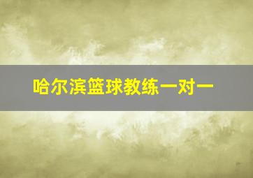 哈尔滨篮球教练一对一