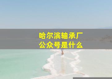 哈尔滨轴承厂公众号是什么