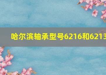 哈尔滨轴承型号6216和6213