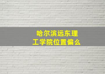 哈尔滨远东理工学院位置偏么