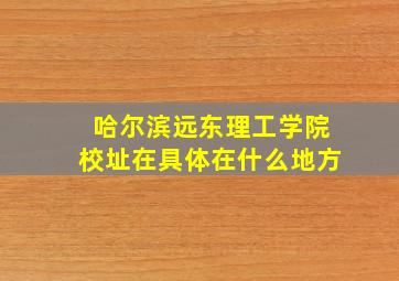 哈尔滨远东理工学院校址在具体在什么地方