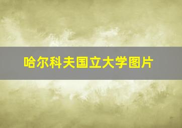 哈尔科夫国立大学图片