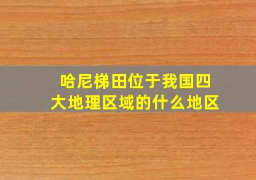 哈尼梯田位于我国四大地理区域的什么地区