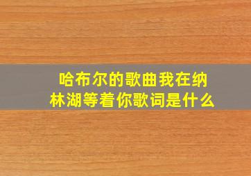 哈布尔的歌曲我在纳林湖等着你歌词是什么