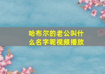 哈布尔的老公叫什么名字呢视频播放