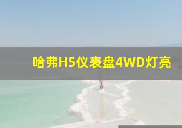 哈弗H5仪表盘4WD灯亮