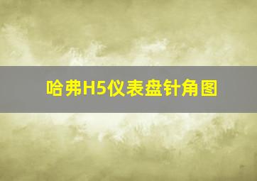 哈弗H5仪表盘针角图