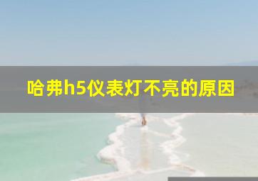 哈弗h5仪表灯不亮的原因