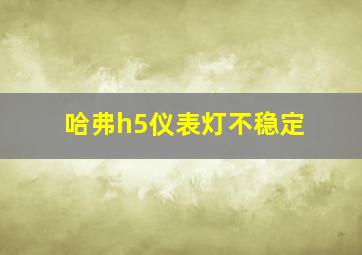 哈弗h5仪表灯不稳定