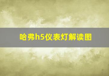 哈弗h5仪表灯解读图