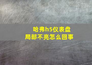 哈弗h5仪表盘局部不亮怎么回事