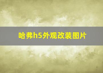 哈弗h5外观改装图片