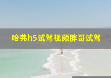 哈弗h5试驾视频胖哥试驾