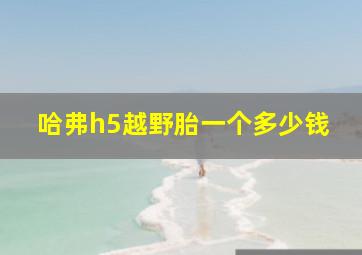 哈弗h5越野胎一个多少钱